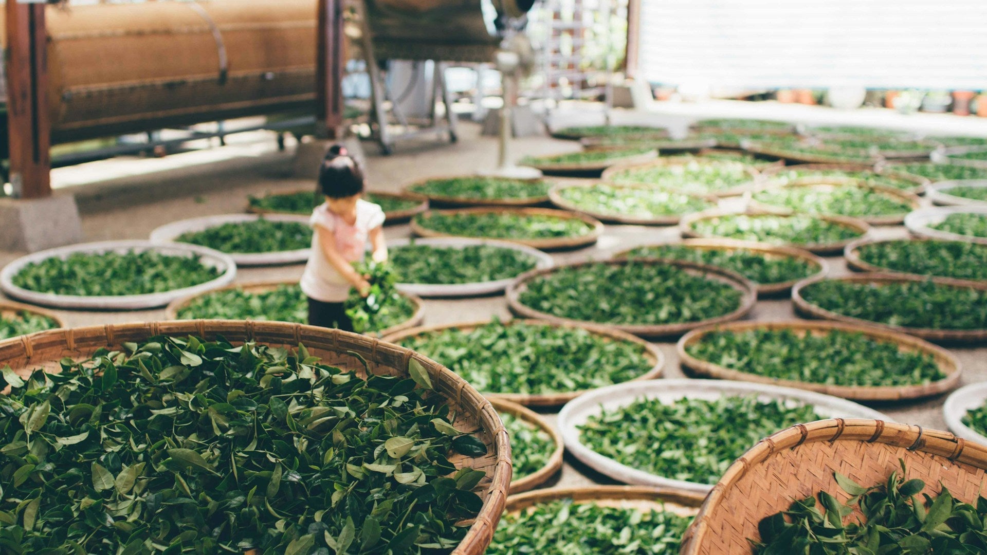 Tea Stains: Effects, Prevention, and Removal Guide