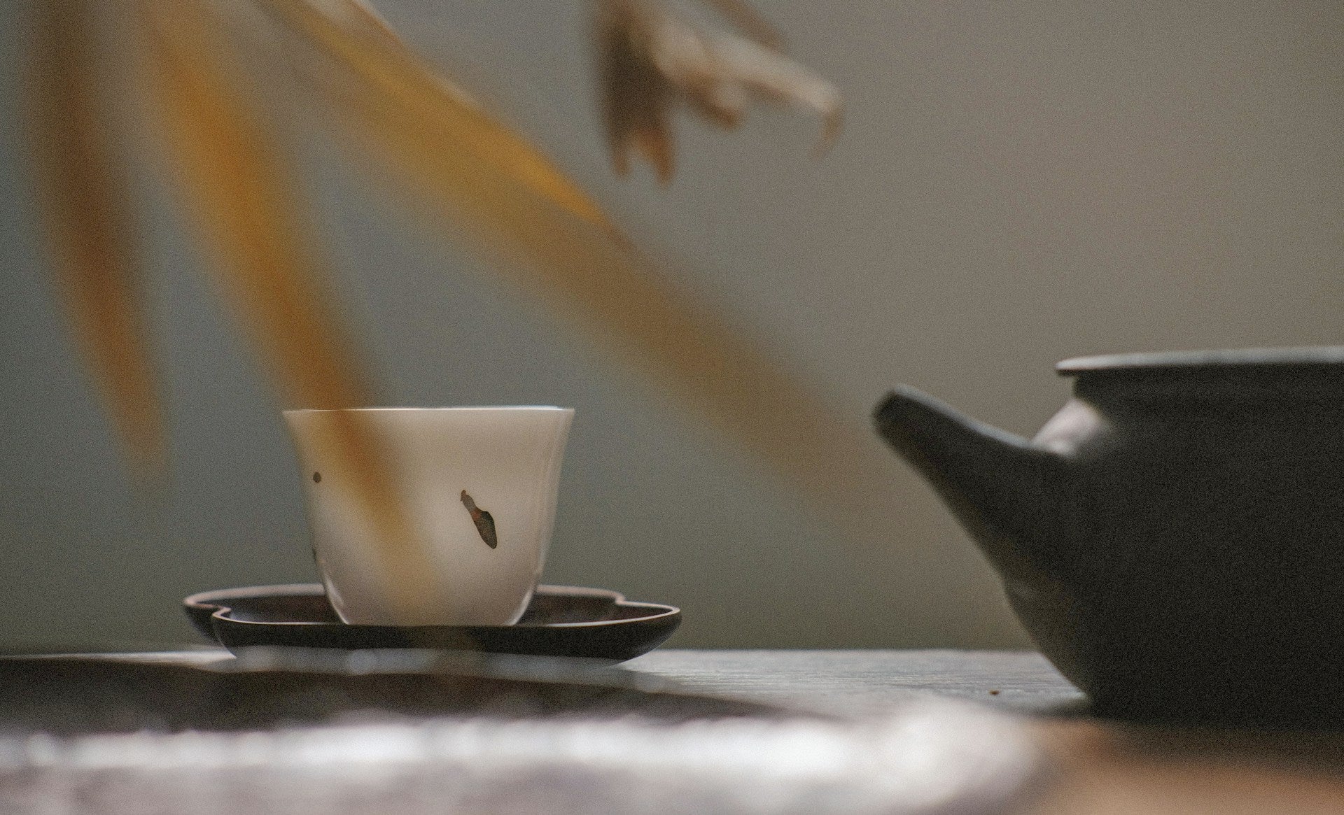 Green Tea and Matcha for Workout Performance and Recovery