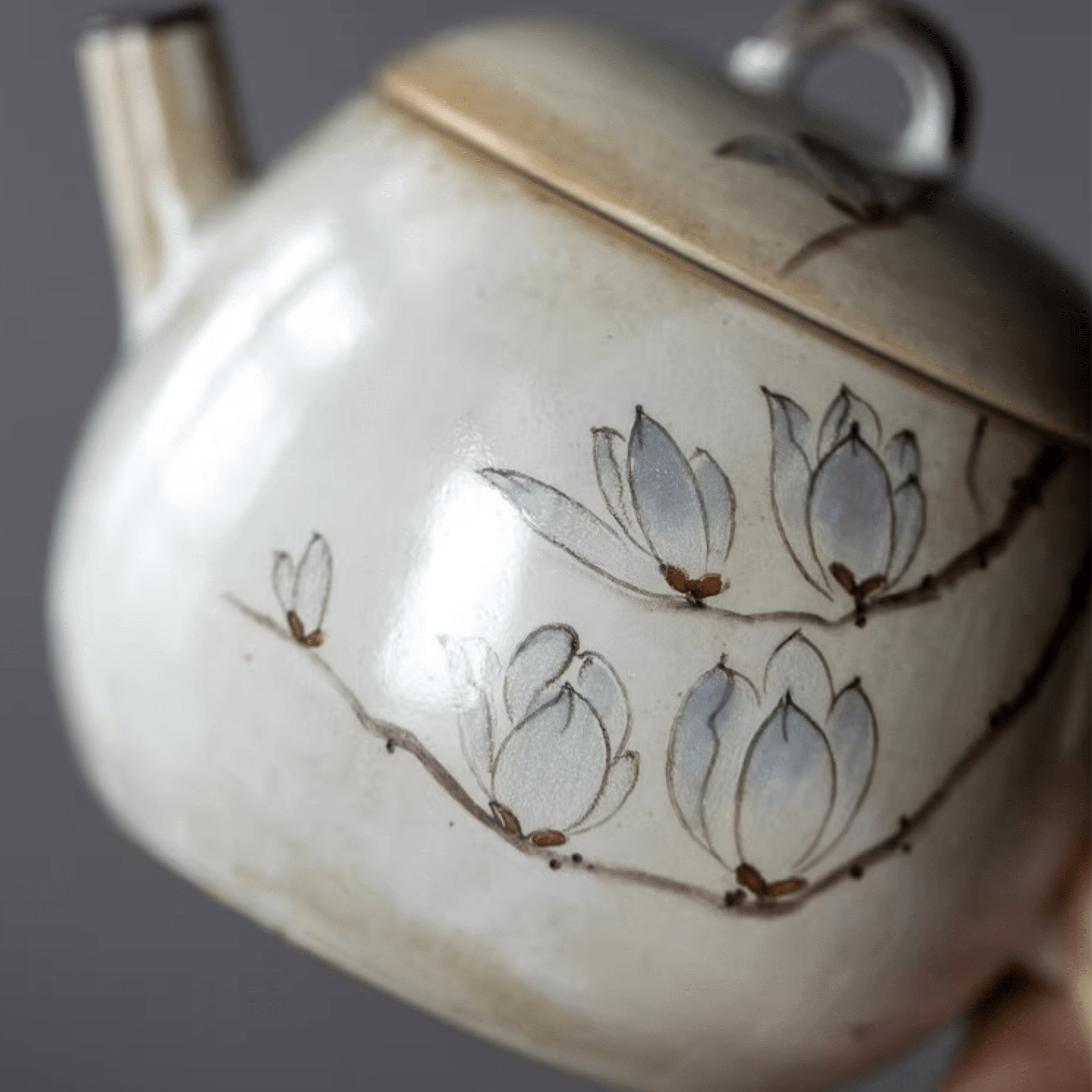Magnolia - Orient Cup